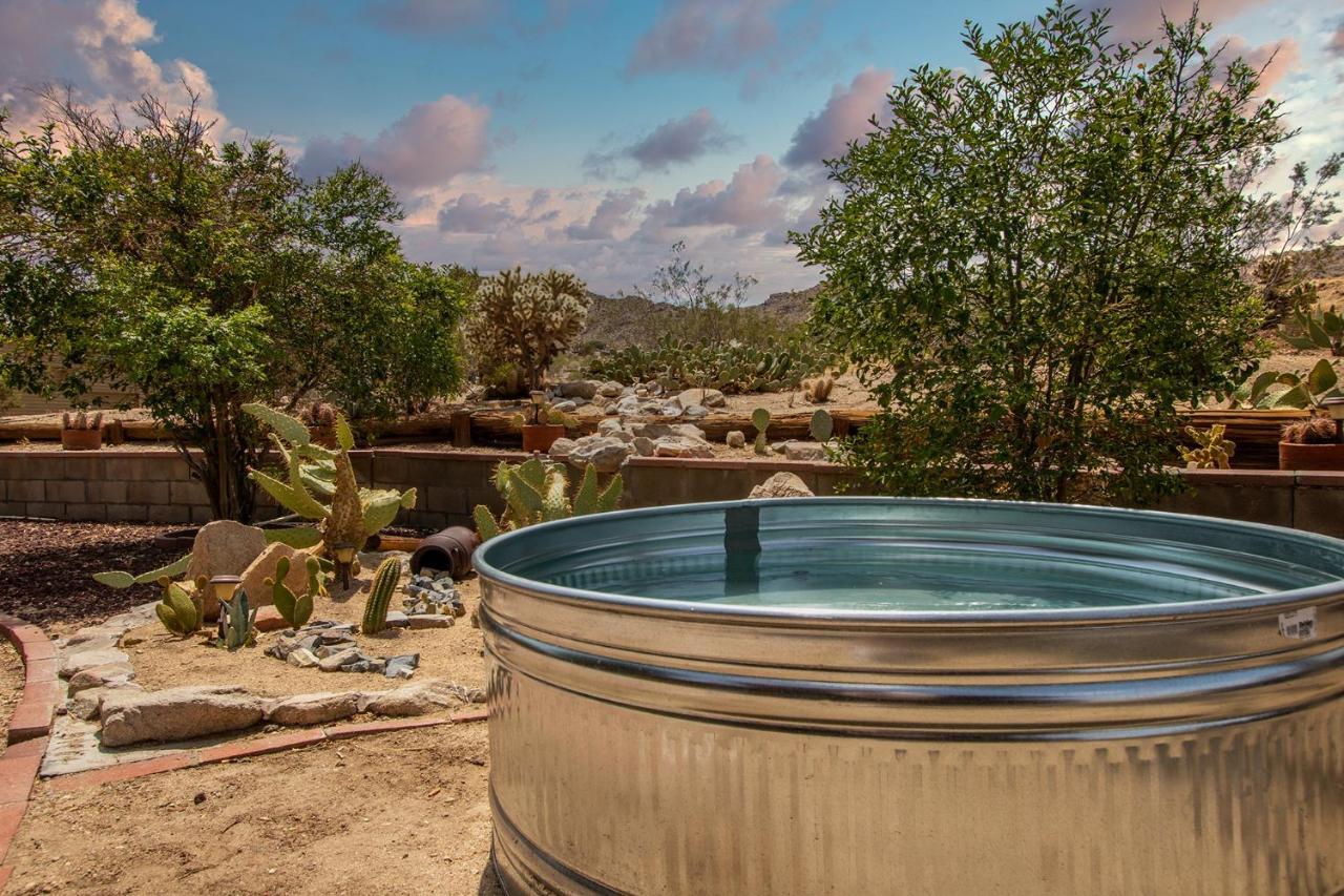 @ Marbella Lane - The Wine Mine Desert Escape Joshua Tree Eksteriør billede